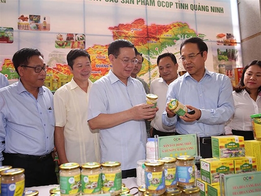Tỉnh Khánh Hòa ưu tiên phát triển các sản phẩm nông sản đặc trưng.