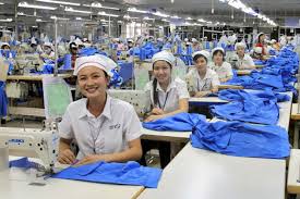 Hiệu quả từ mô hình sản xuất trái cây VietGap tại Tiền Giang