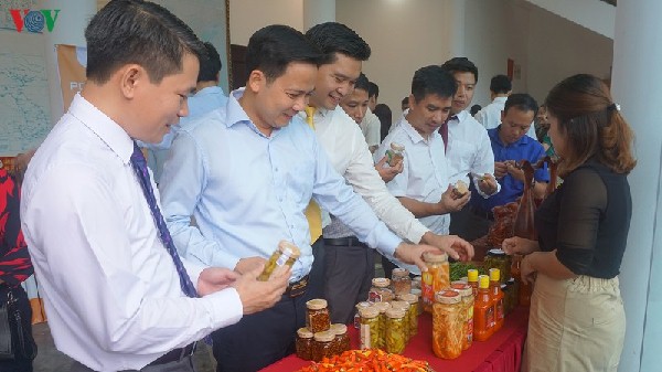 Thúc đẩy xuất khẩu chuối Laba Đà Lạt công nghệ cao sang Nhật Bản