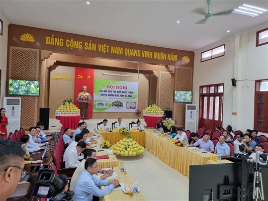 Bảo tồn và phát triển hương vị nước mắm truyền thống tại các tỉnh Nam Trung Bộ.