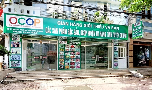 Giải pháp mở rộng sản xuất và tiêu thụ nếp Phú Tân - An Giang
