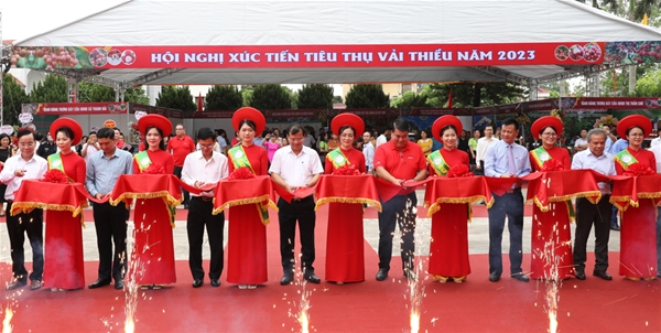 Khám phá xứ bưởi Tân Triều, Đồng Nai