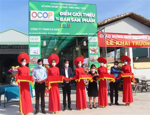 Gia Lai: Phát triển mạnh mẽ ngành trồng cây dược liệu.