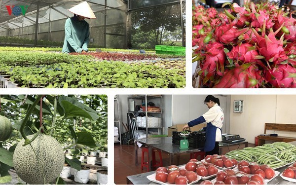 Sò sò - đặc sản của Quảng Ninh