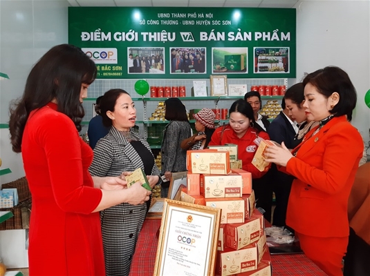 Liên kết sản xuất và tiêu thụ vải là bước đi đúng đắn của người dân ở Hồng Giang.