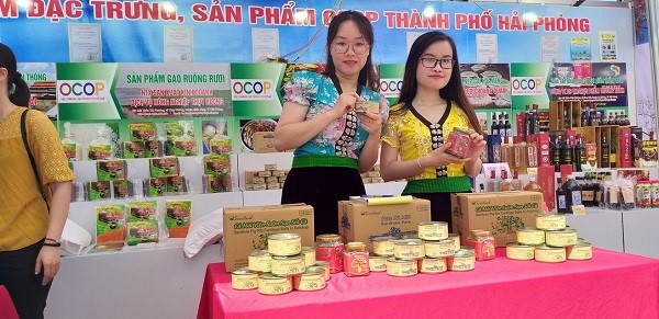 Nghệ An: Tăng cường xúc tiến thương mại, khuyến khích mở rộng mạng lưới kinh doanh.