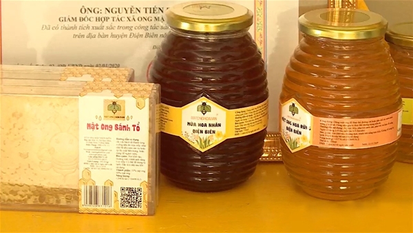 Mỗi ngày, Hà Nội tiêu thụ hơn 1.000 tấn trái cây từ miền Nam.