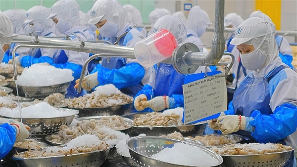 Nông sản Lào Cai gặp khó khăn trong việc xuất khẩu sang Trung Quốc do chưa được cấp mã vùng trồng.