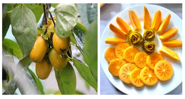 Bưu điện tỉnh Lào Cai đẩy mạnh việc tiêu thụ sản phẩm ở Mường Khương.