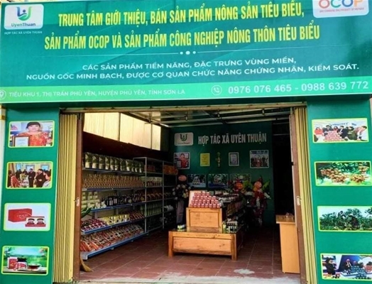 Chỉ cần 1 phút để tổng hợp và báo cáo dữ liệu về dịch bệnh thông qua VAHIS.