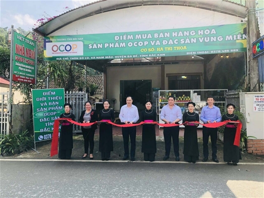 Ngư dân thu hoạch mùa ruốc và mực, kiếm được vài triệu đồng từ mỗi chuyến ra khơi.