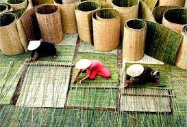 Thịt nuôi cấy và thịt thực vật đang dần trở thành xu hướng được nhiều người chú ý.