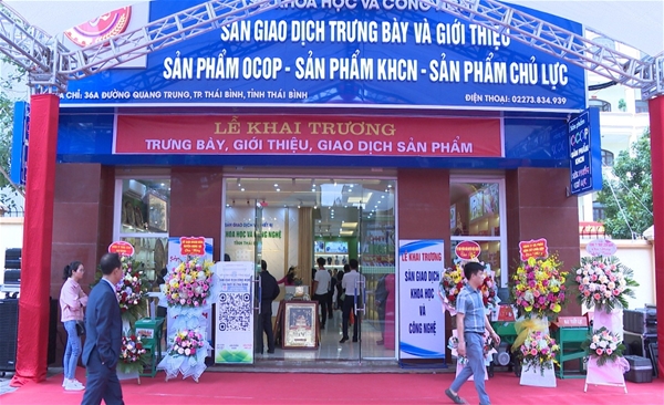 Khát vọng giữ gìn từ con tim vàng bản đảo Cà Mau.