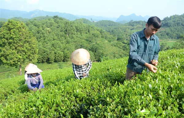 Mật độ nuôi thủy sản ở nhiều địa phương đang vượt quá khả năng đáp ứng của môi trường.
