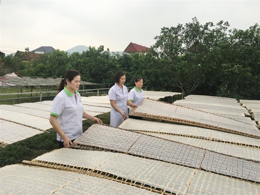 Dữ liệu quan trắc môi trường là yếu tố quan trọng không thể thiếu trong ngành nuôi trồng thủy sản.