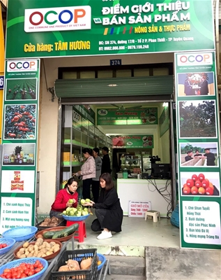 Chi phí cho thức ăn chiếm đến 60% tổng chi phí sản xuất tôm.