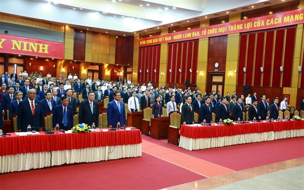 Chăn nuôi Vĩnh Phúc đối mặt với thử thách nhưng tìm ra giải pháp: [Bài 2] Nuôi bò thịt mang lại lợi nhuận trên 15 triệu đồng mỗi con.