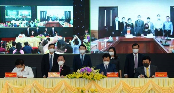 Nuôi heo hồi sinh: [Bài 1] Khôi phục đàn heo an tâm