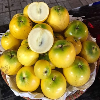 Gieo giống đồng loạt để giảm thiểu rủi ro sâu bệnh trong vụ đông xuân.