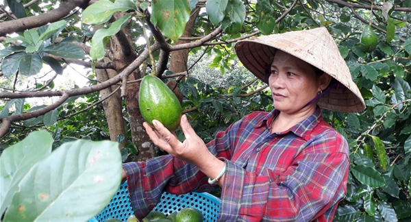Kính gửi các doanh nghiệp, chúng tôi trân trọng mời quý vị tham gia “Hội thảo quốc tế về việc phổ biến các cách tiếp cận và quy định mới của thị trường Trung Quốc đối với nông sản và thực phẩm nhập khẩu.”
