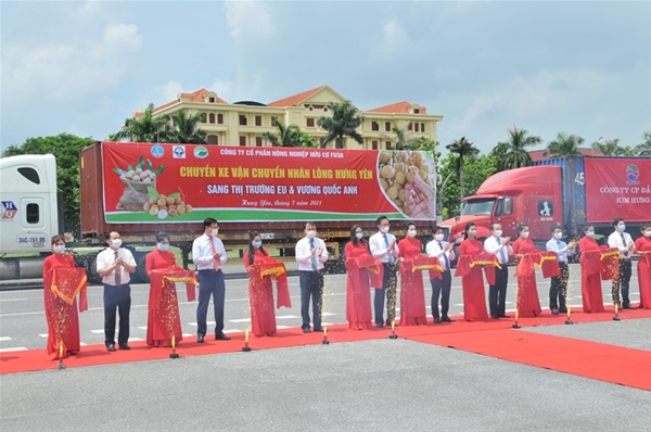 Giảm nhanh diện tích trồng lúa không hiệu quả.