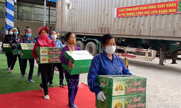 Bệnh viêm da nổi cục có nguy cơ bùng phát lây lan tại Hà Giang