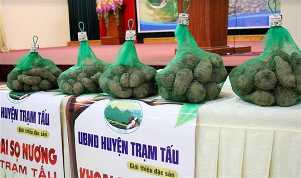 Khoa Chăn nuôi hỗ trợ Bắc Giang 30 giường bệnh tiêu chuẩn.