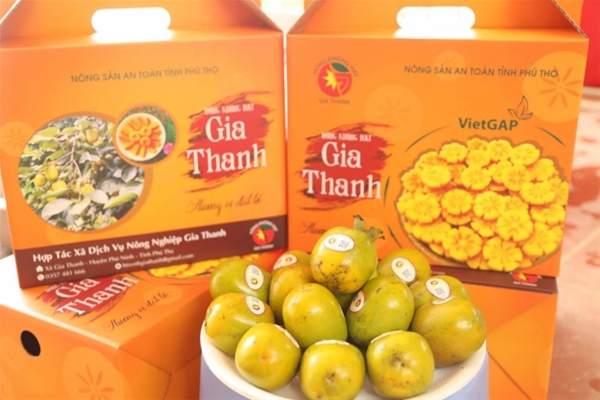 Hợp tác với ngư dân để phát triển ngành thủy sản bền vững tại Quảng Ninh