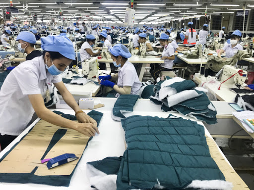 Bắt đầu triển khai tiêm phòng bệnh dại từ sớm