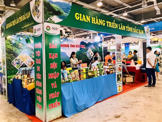 Rau hữu cơ tại huyện Lương Sơn