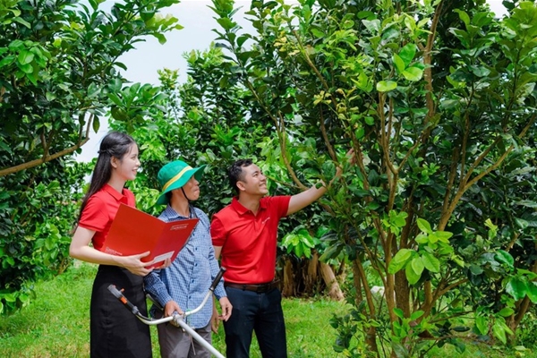 Dám nuôi cầy vòi mốc và cầy hương