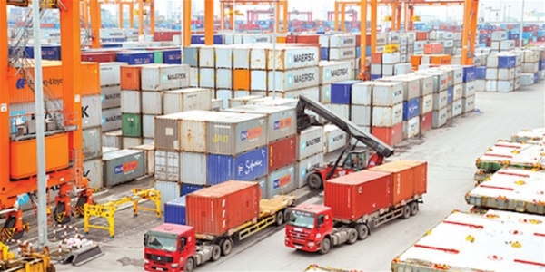 Câu chuyện về người kiểm lâm thương binh