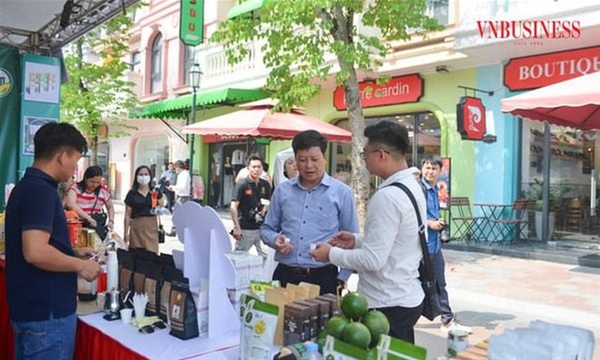 Tăng cường công tác chỉ đạo để bảo vệ sản xuất trong vụ đông xuân 2024 - 2025.