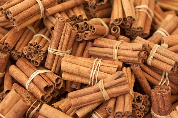 Trình bày với Chính phủ chương trình bảo vệ và phát triển nguồn lợi thủy sản.