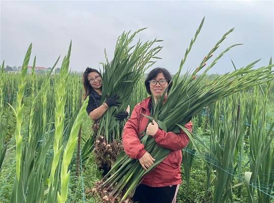 Nghệ An cần hỗ trợ khẩn cấp cho những hộ gia đình gặp khó khăn.