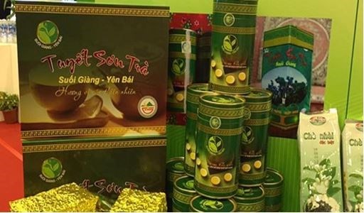 Đào tạo kỹ thuật trồng cây dược liệu cát cánh