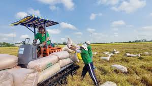 Triển lãm các sản phẩm OCOP xuất khẩu: Khởi xướng hướng đi mới cho các sản phẩm OCOP của Việt Nam.