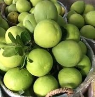 Chính sách hỗ trợ di dời những cơ sở gây ô nhiễm nghiêm trọng vào các Khu công nghiệp và Cụm công nghiệp.