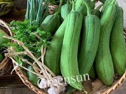 Nông dân chuyên nghiệp thông qua việc làm chủ không gian chuyển đổi số