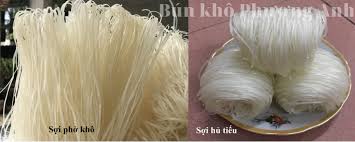 Vùng nguyên liệu mía Đông Gia Lai được mở rộng nhờ đầu tư mạnh mẽ.