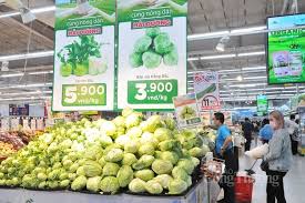 Tuyên Quang đã trồng được hơn 11.200ha rừng.