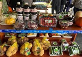 Thanh tra Kiểm ngư trong quản lý hoạt động khai thác thủy sản