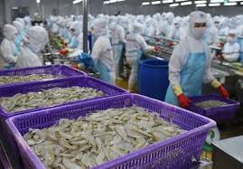 Cứu trợ gấu sau 20 năm nuôi như thú cưng