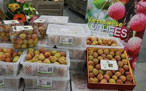 Tập huấn cho giảng viên IPHM khu vực phía Bắc