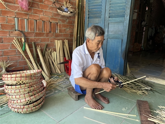 Tái thiết ngành hồ tiêu tại Gia Lai: [Bài 2] Những nỗ lực phục hồi