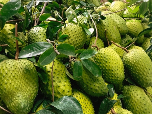 Agribank tăng cường tín dụng ưu đãi trong lĩnh vực nông nghiệp, lâm nghiệp và thủy sản.