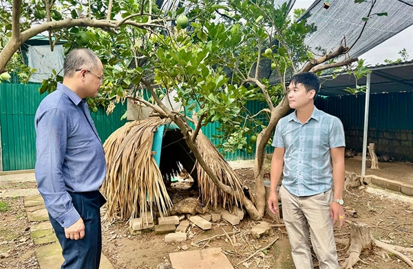Người dân trở nên khá giả nhờ chuyển đổi sang trồng hoa và cây cảnh.