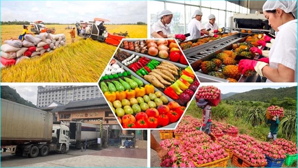 Định vị thương hiệu hàng hóa Việt Nam