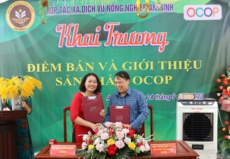 Con trăn nặng gần 100 kg, dài hơn 5 mét bò vào vườn nhà dân tại Huế.