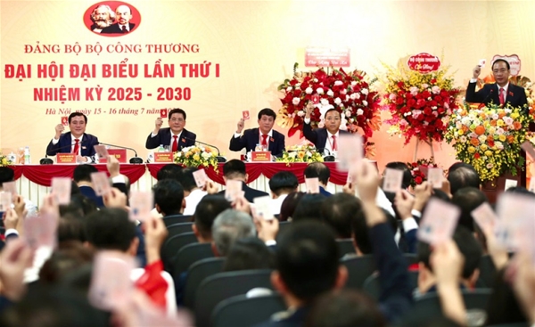 Món gỏi gà từ măng cụt 'gây bão', măng cụt xanh trở thành mục tiêu săn lùng của thương lái.